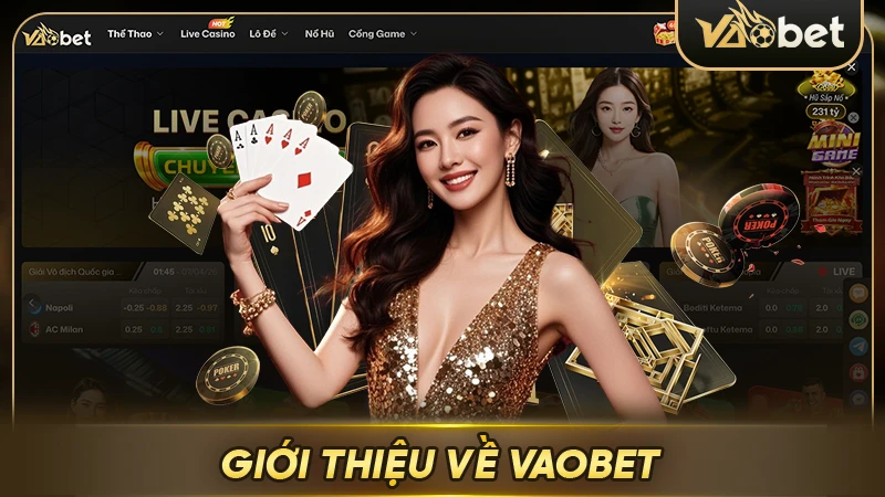 Giới thiệu về nhà cái Vaobet