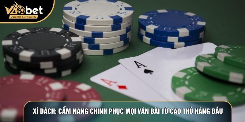 Xì Dách: Cẩm Nang Chinh Phục Mọi Ván Bài Từ Cao Thủ Hàng Đầu